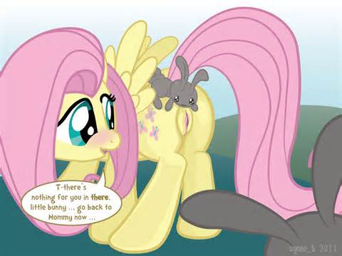 Image 640444: Fluttershy Friendship_is_Magic My_Little_Pony syoee_b