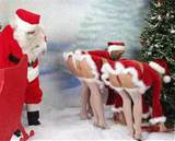 Maxum Why Santa Puts The Presents Under The Tree