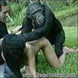 Monkey Fuck