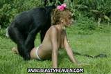 monkey porn