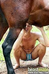 gay male twinks sex with animals animal fuck men porn gay k9 dog ...