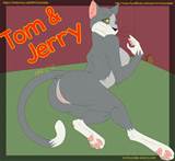 1005361%20-%20MrChocolate%20Rule_63%20Tom%20Tom_and_Jerry.png