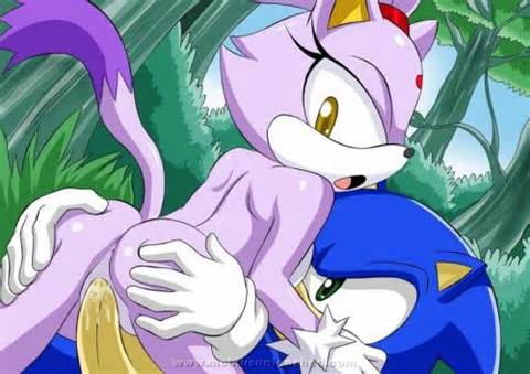 Furry featuring Sonic the Hedgehog and Blaze the Cat â€“ Sonic has ...
