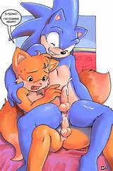 Sonic the Hedgehog - Furry Gay - image.jpeg