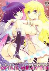 Panty & Stocking with Garterbelt - WILD HEAVEN