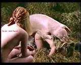 My Porn Images & Videos -pig-fuck-mohamed-wif