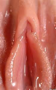 Very Wet Pink Pussy By Sanne Sanne777live On Mobypicture