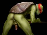 Ninja Turtles Porn