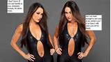 Wwe Divas Bella Twins Sey