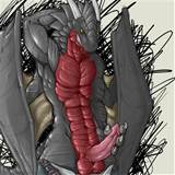 bad dragon stud