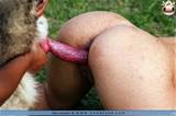 ... sex with dog two dogs cock panties wet walk animal sex web sites