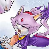 blaze the cat -