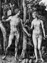 Goltzius The Fall Man Adam And Eve Nude and Porn Pictures
