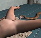 Pussy And Snake 3D Porn Comix And Anime Fantasy About Perverted Sex