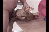 chicken huehnerficken videos de zoofilia