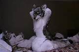 ... Â» yiffy fursuits Â» Ychan - rl - straight fursuit sex - 53178